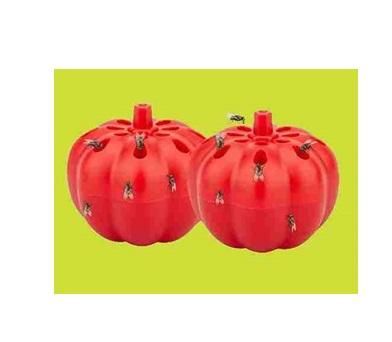 Fruit Fly Traps Pumpkin Shape Frost for Your Home (Pack of 2)