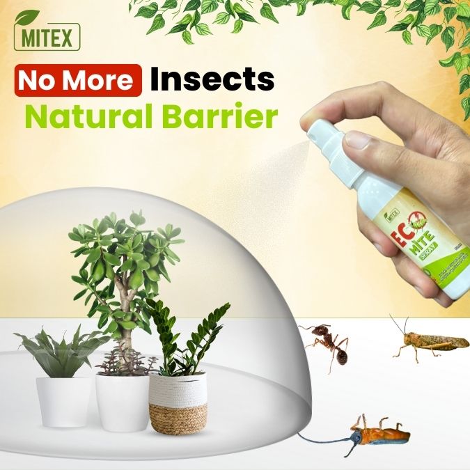 Eco Mite Spray- Pack of 2