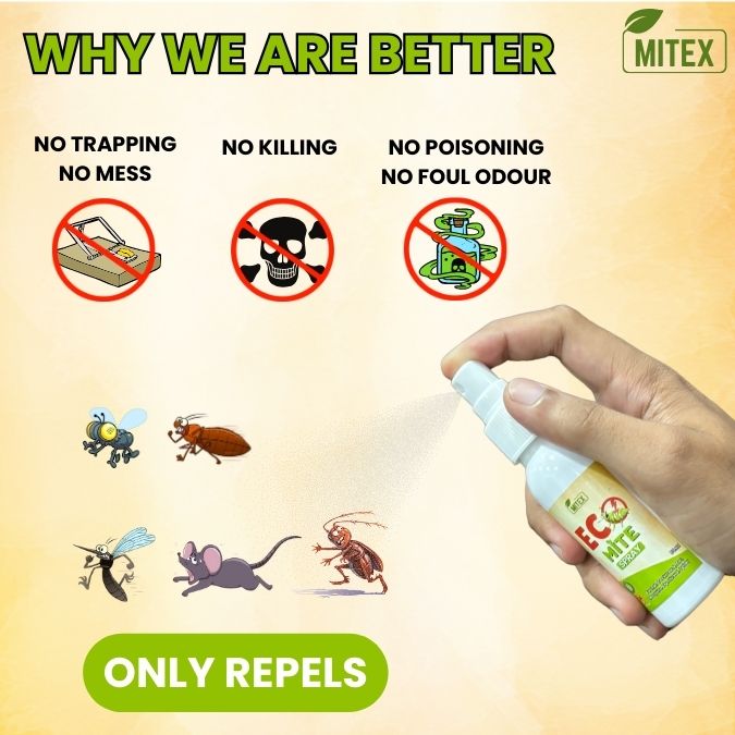 Eco Mite Spray- Pack of 2